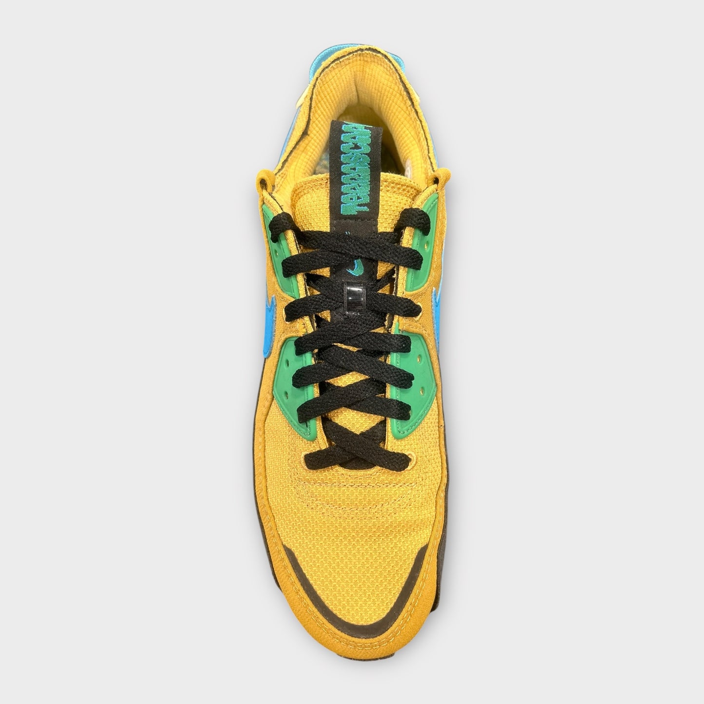 Air Max 90 Terrascape "Wheat Gold Blue" (Usato/Used)