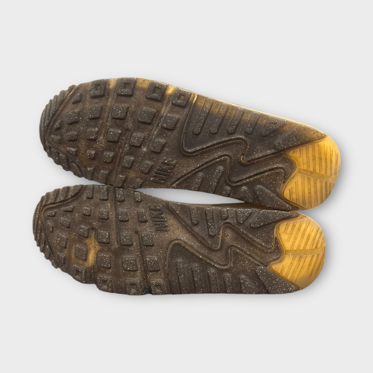 Air Max 90 Terrascape "Wheat Gold Blue" (Usato/Used)
