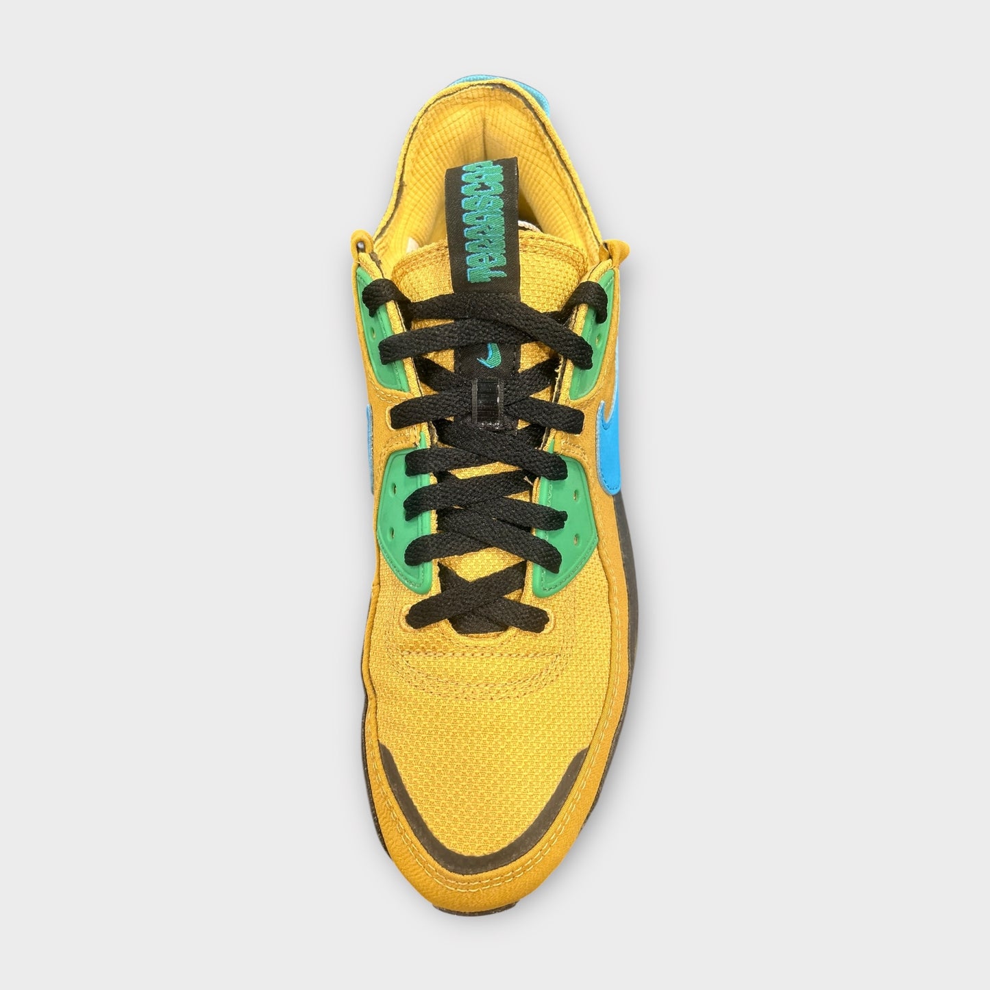 Air Max 90 Terrascape "Wheat Gold Blue" (Usato/Used)